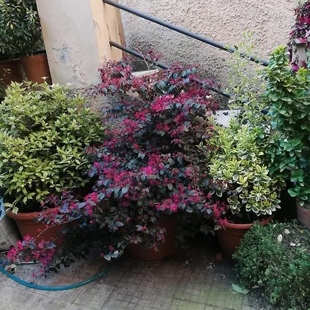 ベッド・アンド・ブレックファスト Tra Gianicolo E Trastevere