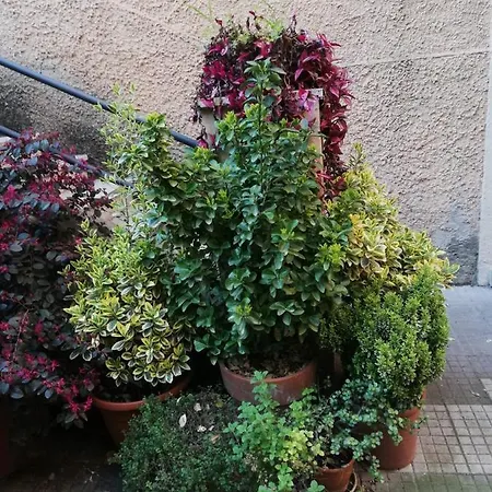 Tra Gianicolo E Trastevere 4*