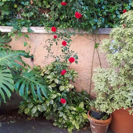 Tra Gianicolo E Trastevere فندق مبيت وإفطار 4*