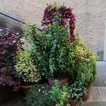 Tra Gianicolo E Trastevere 4*