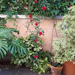 Tra Gianicolo E Trastevere Bed and Breakfast 4*