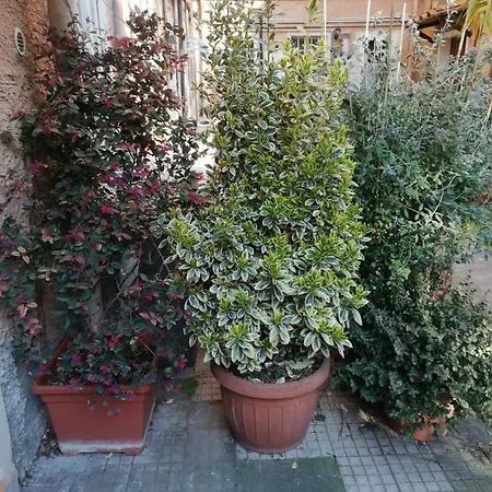 Tra Gianicolo E Trastevere ベッド・アンド・ブレックファスト 4*