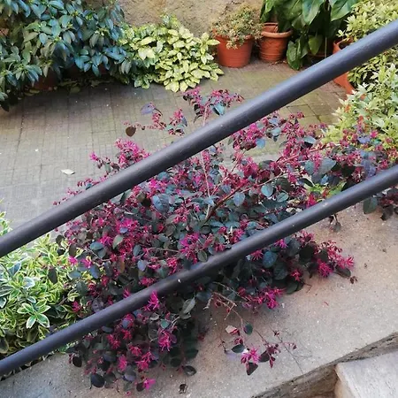 Tra Gianicolo E Trastevere 4*
