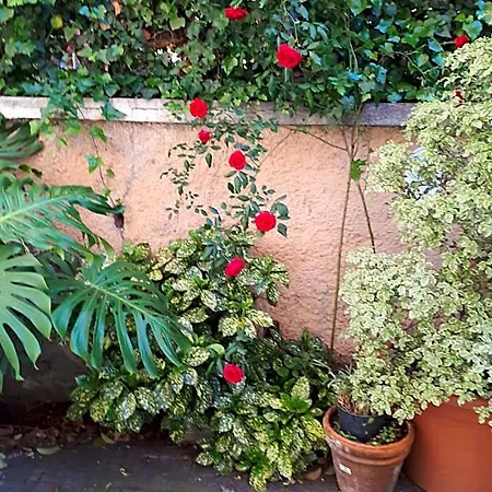 Tra Gianicolo E Trastevere Nocleg ze śniadaniem 4*