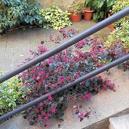 Отель типа 